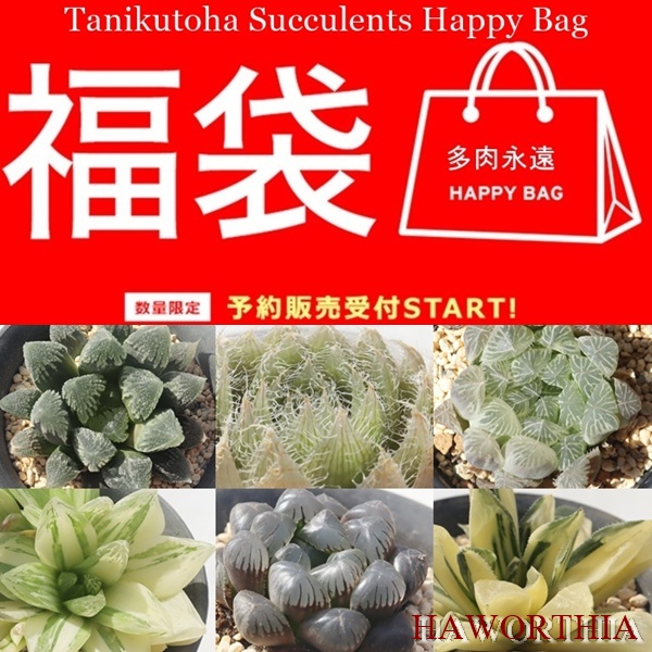 2026�n�I���`�A���ܔ̔�,�����A���̕��ܔ̔�,�����A�� ����  �������� ���y���݃Z�b�g �l�ߍ��킹 ���S��OK ���ʌ���,�������ܔ̔�,�������ߑ�������,�����i�����ܕ]��