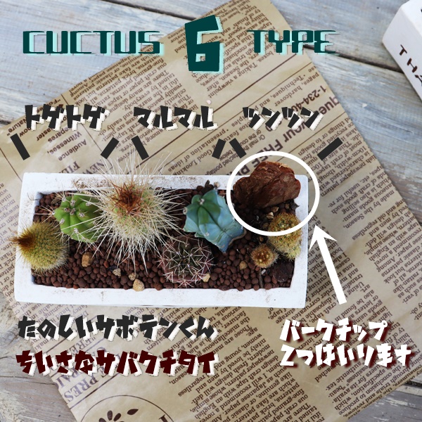 nI`A̓Mtg,̓ɑA𑡂,ɂ̓,ȕ̓̃v[g,̓,̓T{e,̓,ɂ̊񂹐A,Å񂹐A̔,A̓̑̕蕨̔,i