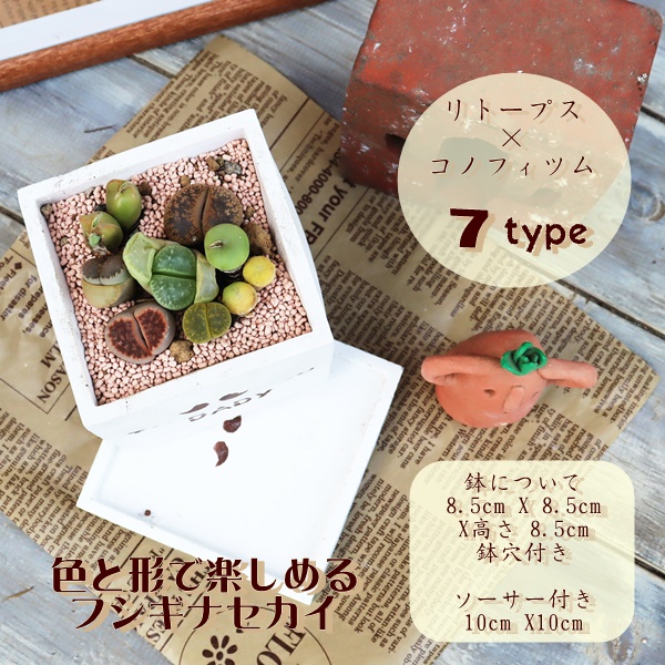 nI`A̓Mtg,̓ɑA𑡂,ɂ̓,ȕ̓̃v[g,̓,̓T{e,̓,ɂ̊񂹐A,Å񂹐A̔,A̓̑̕蕨̔,i