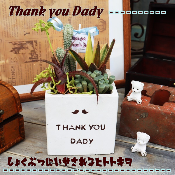 A̓̕Mtg,̓ɑA𑡂,ɂ̓,ȕ̓̃v[g,̓,̓T{e,̓,ɂ̊񂹐A,Å񂹐A̔,A̓̑̕蕨̔,i