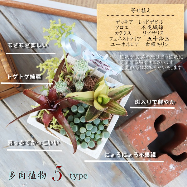 nI`A̓Mtg,̓ɑA𑡂,ɂ̓,ȕ̓̃v[g,̓,̓T{e,̓,ɂ̊񂹐A,Å񂹐A̔,A̓̑̕蕨̔,i
