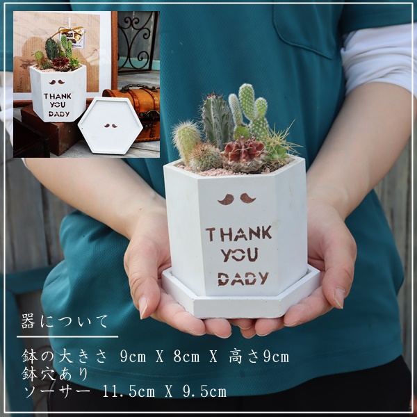 A̓̕Mtg,̓ɑA𑡂,ɂ̓,ȕ̓̃v[g,̓,̓T{e,̓,ɂ̊񂹐A,Å񂹐A̔,A̓̑̕蕨̔,i